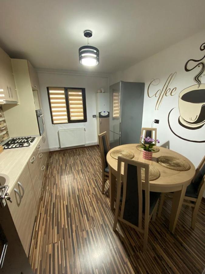 Apartament Exclusive Targu Ocna Luaran gambar