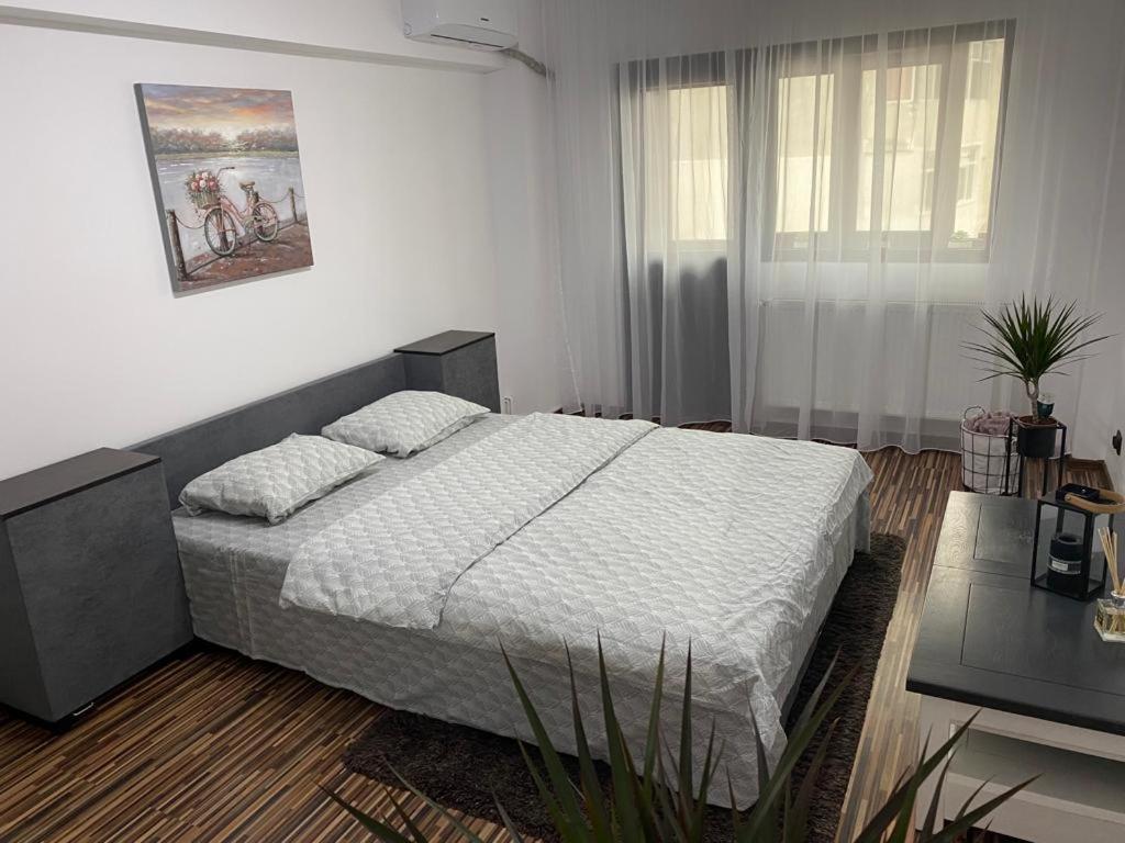 Apartament Exclusive Targu Ocna Luaran gambar